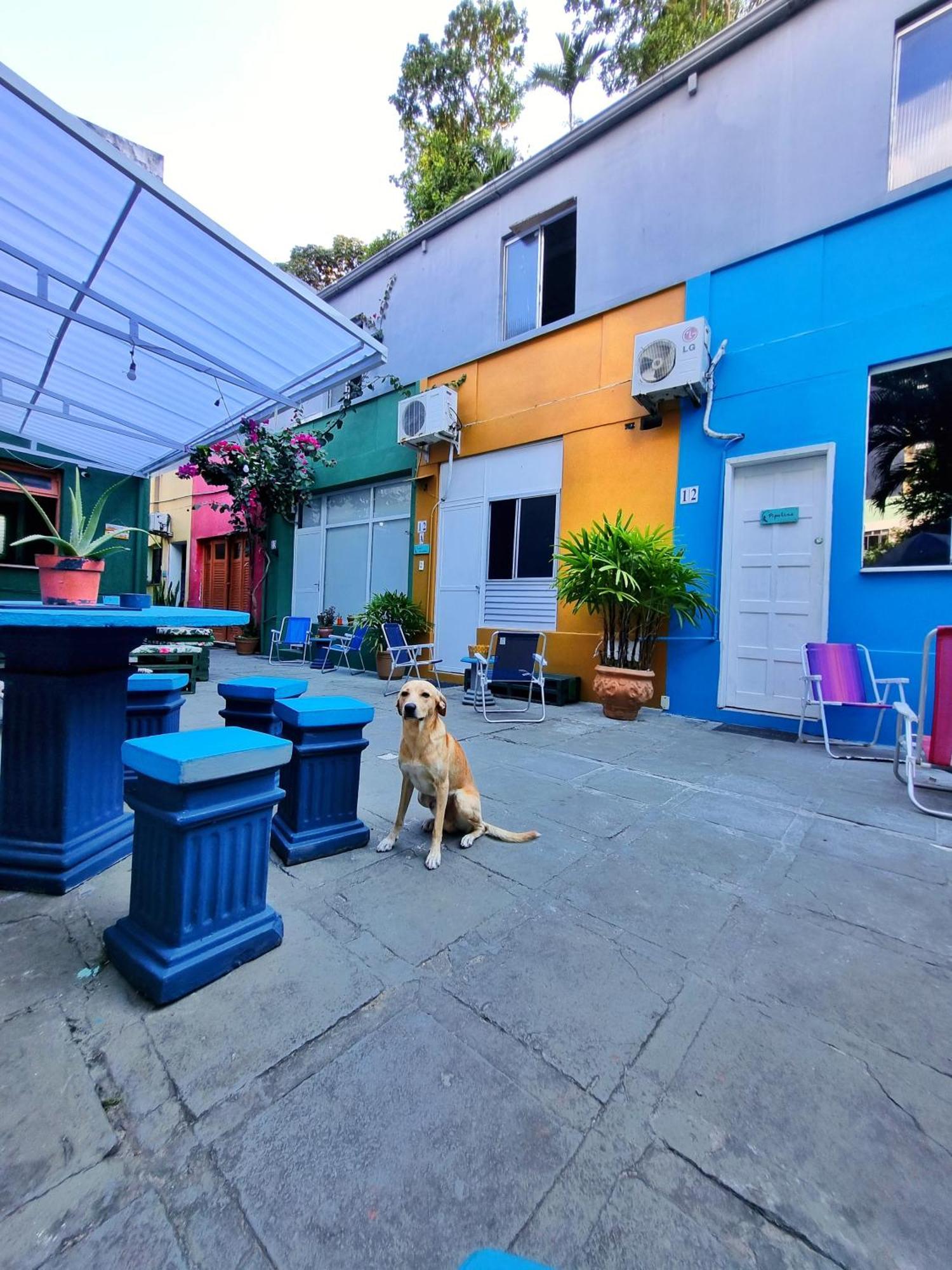 Nomads Hostel Multicultural & Coworking Salvador Bagian luar foto